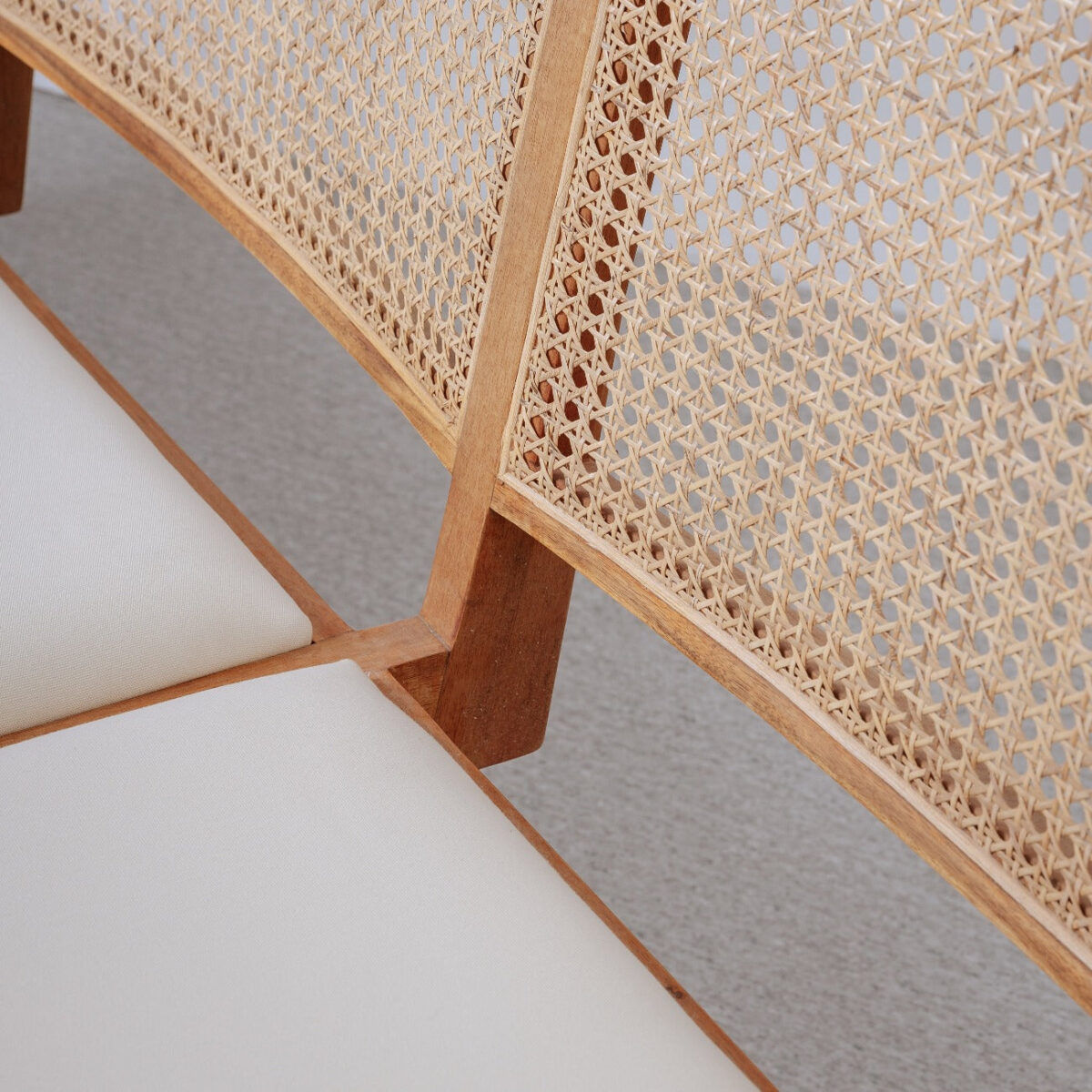 isabella sofa with Seat Cushion and Rattan backrest - Image 4
