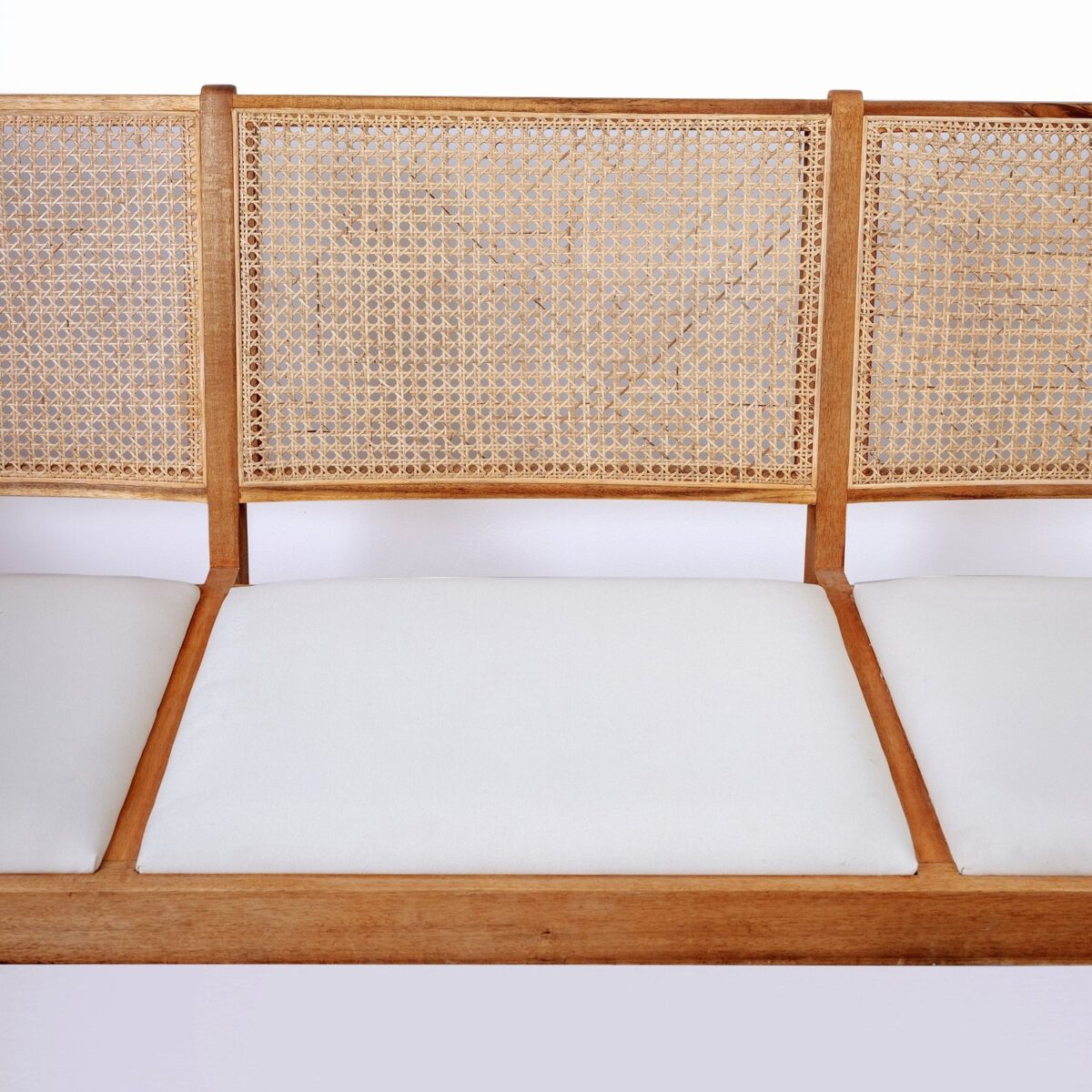 isabella sofa with Seat Cushion and Rattan backrest - Image 3