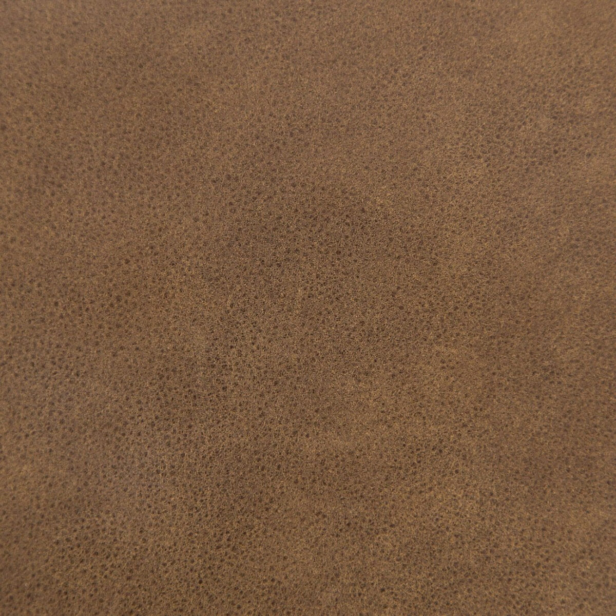Darma Bench - Image 14