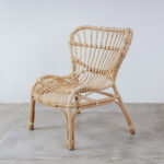 Pramana Rattan Accent Lounge Chair